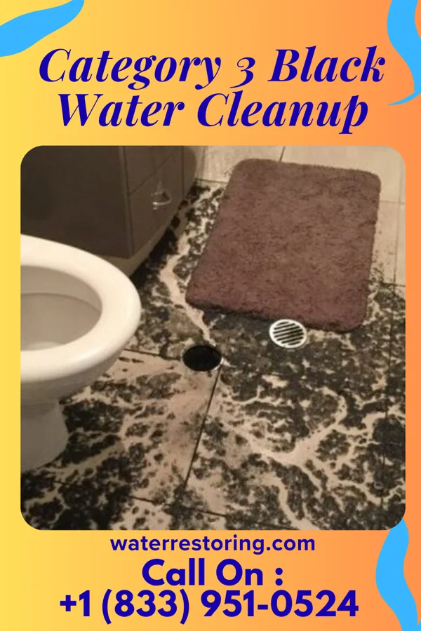 Category 3 Black Water Cleanup in Murray, KY