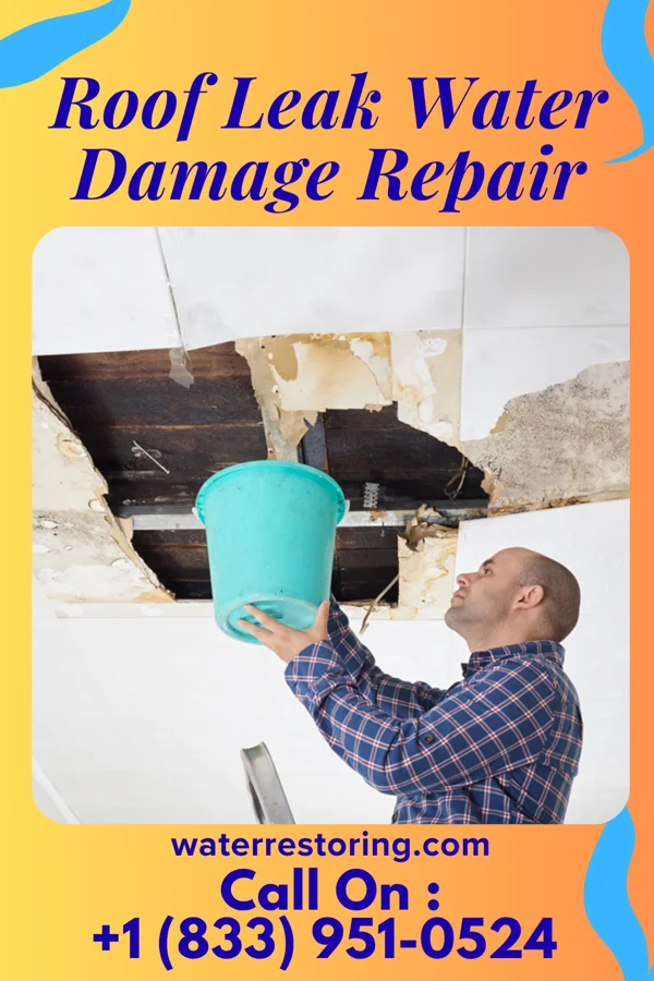 Roof Leak Water Damage Repair in Murray, KY
