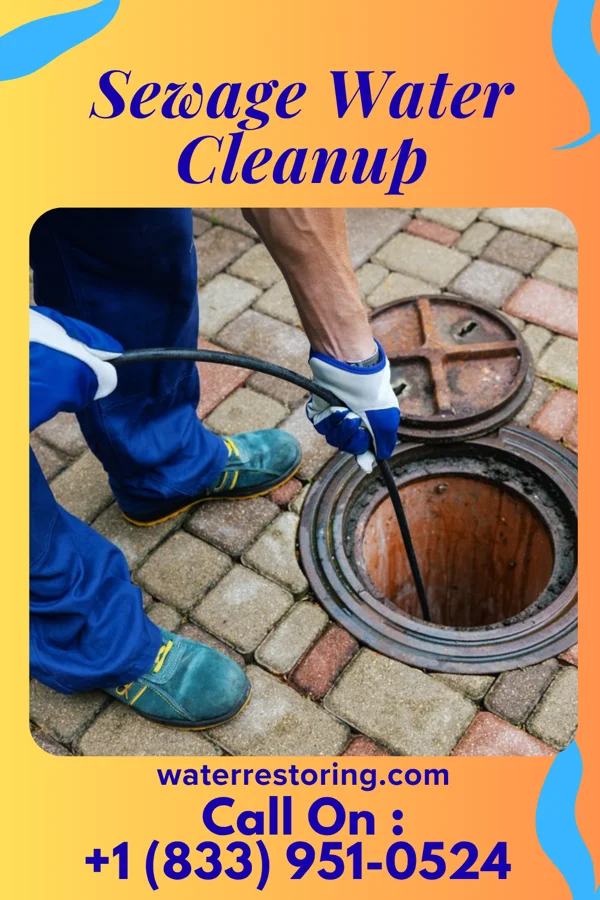 Sewage Water Cleanup in Murray, KY