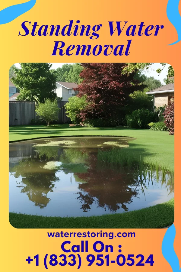 Standing Water Removal in Murray, KY
